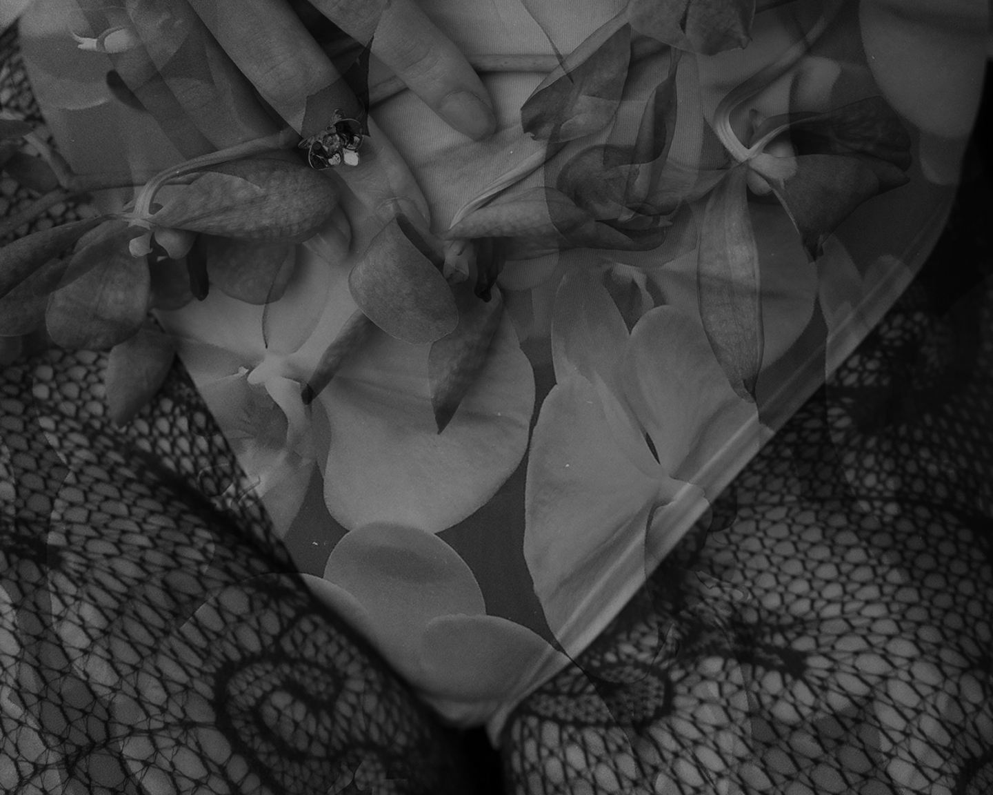 胡蝶蘭のリングを着けたモノクロフィルム写真